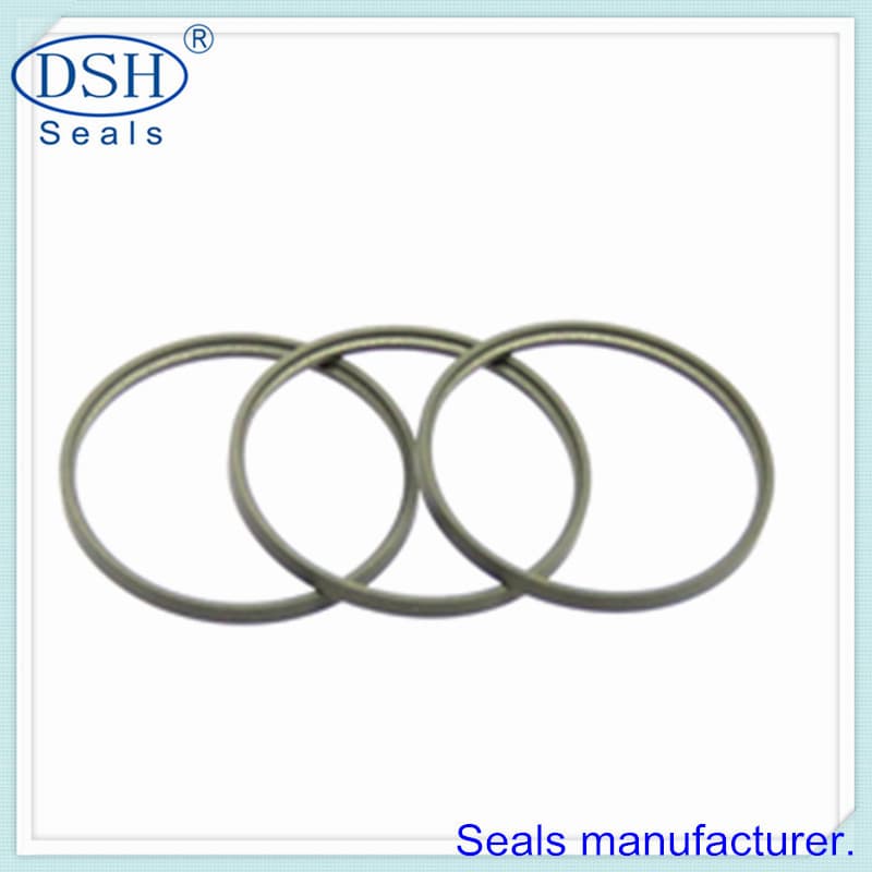 Rod seals for hydraulic cylinder